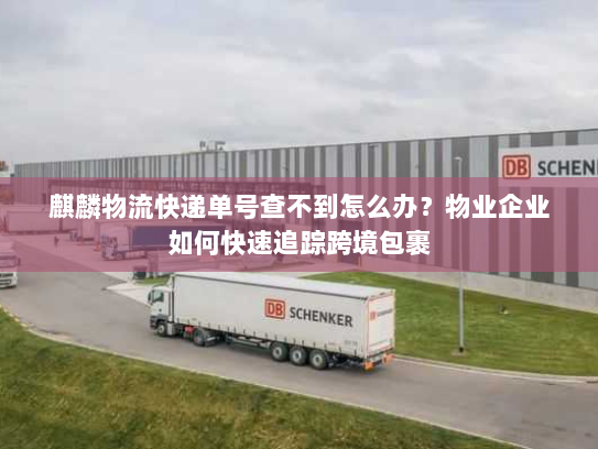 麒麟物流快递单号查不到怎么办?物业企业如何快速追踪跨境包裹 麒麟物流快递单号查不到怎么办?物业企业如何快速追踪跨境包裹