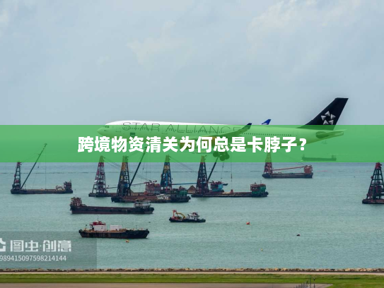 跨境物资清关为何总是卡脖子？