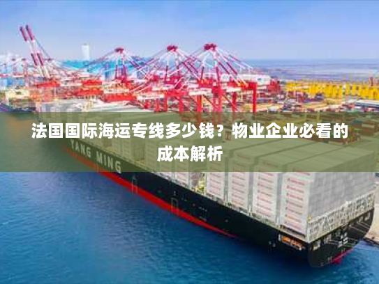 法国国际海运专线多少钱?物业企业必看的成本解析 法国国际海运专线多少钱?物业企业必看的成本解析