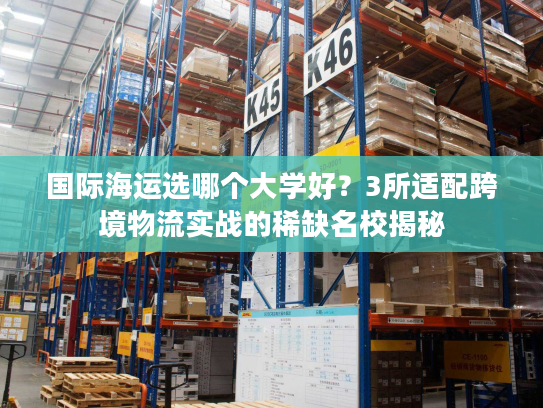 国际海运选哪个大学好？3所适配跨境物流实战的稀缺名校揭秘