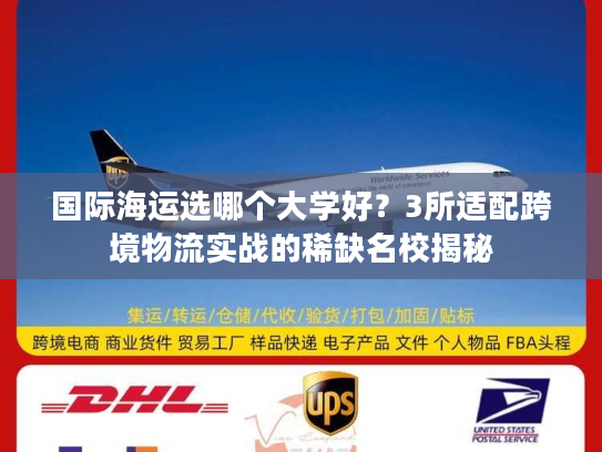 国际海运选哪个大学好？3所适配跨境物流实战的稀缺名校揭秘