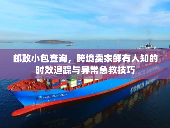 邮政小包查询，跨境卖家鲜有人知的时效追踪与异常急救技巧