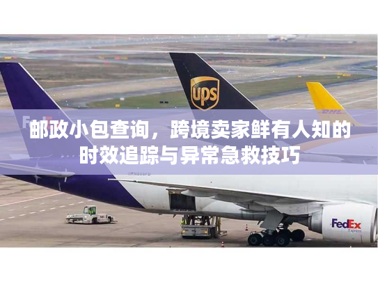 邮政小包查询，跨境卖家鲜有人知的时效追踪与异常急救技巧