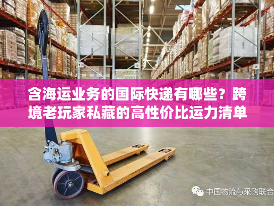 含海运业务的国际快递有哪些？跨境老玩家私藏的高性价比运力清单