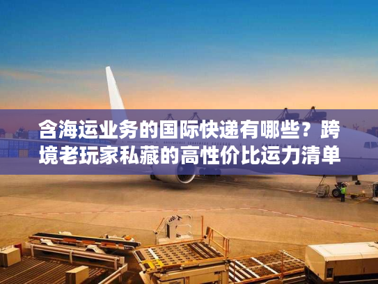 含海运业务的国际快递有哪些？跨境老玩家私藏的高性价比运力清单