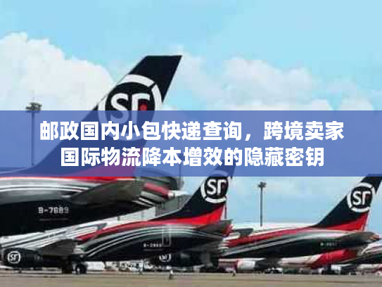 邮政国内小包快递查询，跨境卖家国际物流降本增效的隐藏密钥