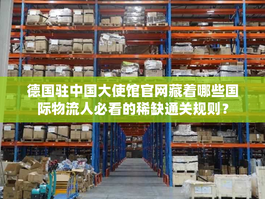 德国驻中国大使馆官网藏着哪些国际物流人必看的稀缺通关规则？