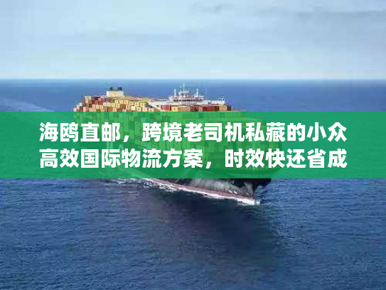 海鸥直邮,跨境老司机私藏的小众高效国际物流方案,时效快还省成本? 海鸥直邮,跨境老司机私藏的小众高效国际物流方案,时效快还省成本?