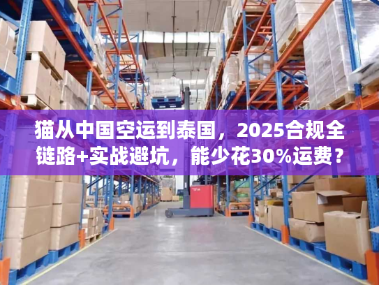 猫从中国空运到泰国，2025合规全链路+实战避坑，能少花30%运费？