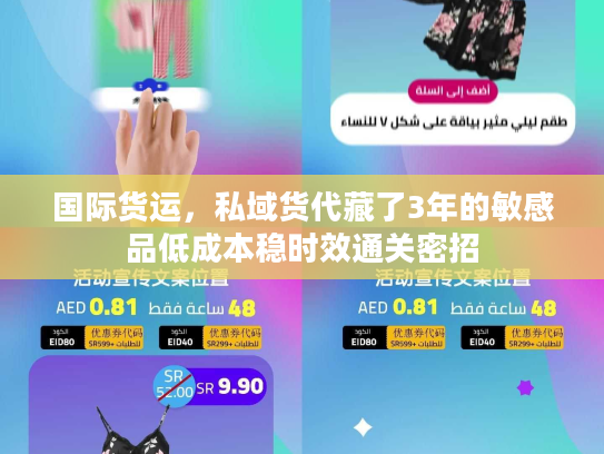 国际货运，私域货代藏了3年的敏感品低成本稳时效通关密招