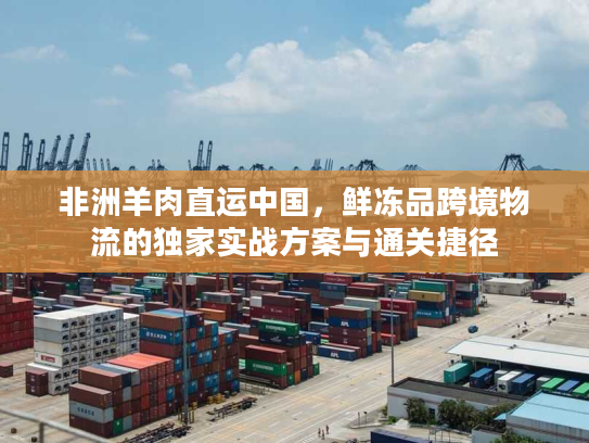 非洲羊肉直运中国，鲜冻品跨境物流的独家实战方案与通关捷径
