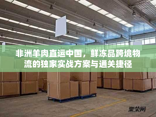 非洲羊肉直运中国，鲜冻品跨境物流的独家实战方案与通关捷径