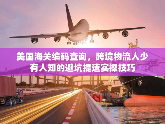 美国海关编码查询，跨境物流人少有人知的避坑提速实操技巧
