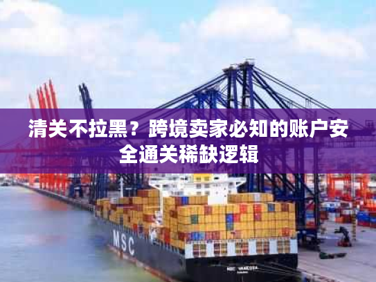 清关不拉黑？跨境卖家必知的账户安全通关稀缺逻辑