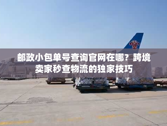 邮政小包单号查询官网在哪？跨境卖家秒查物流的独家技巧