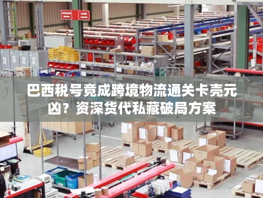 巴西税号竟成跨境物流通关卡壳元凶?资深货代私藏破局方案 巴西税号竟成跨境物流通关卡壳元凶?资深货代私藏破局方案