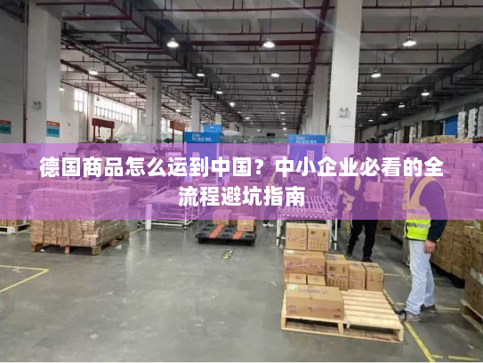 德国商品怎么运到中国?中小企业必看的全流程避坑指南 德国商品怎么运到中国?中小企业必看的全流程避坑指南