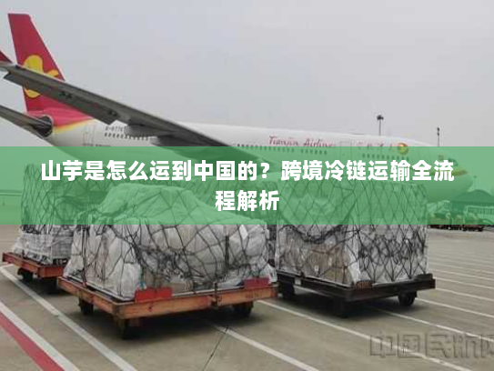 山芋是怎么运到中国的？跨境冷链运输全流程解析