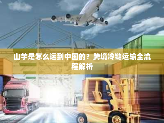 山芋是怎么运到中国的？跨境冷链运输全流程解析