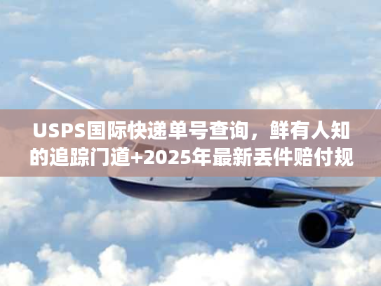USPS国际快递单号查询，鲜有人知的追踪门道+2025年最新丢件赔付规则