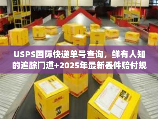 USPS国际快递单号查询，鲜有人知的追踪门道+2025年最新丢件赔付规则
