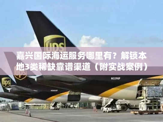 嘉兴国际海运服务哪里有？解锁本地3类稀缺靠谱渠道（附实战案例）