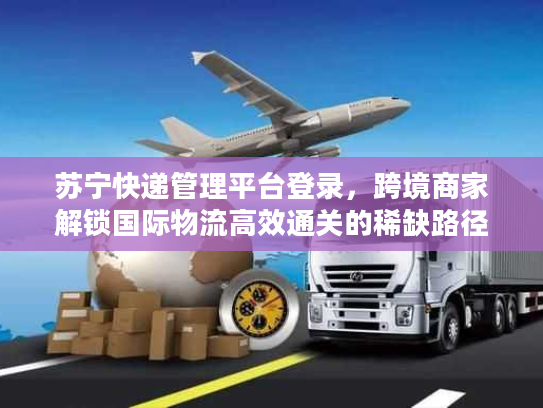 苏宁快递管理平台登录，跨境商家解锁国际物流高效通关的稀缺路径