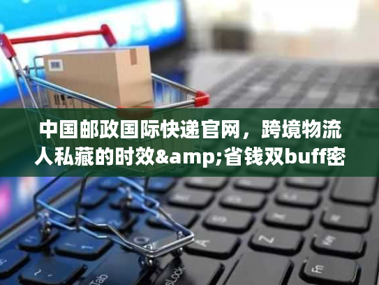 中国邮政国际快递官网，跨境物流人私藏的时效&省钱双buff密码？