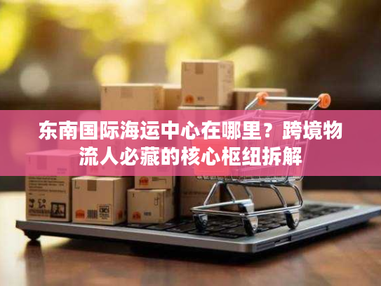 东南国际海运中心在哪里？跨境物流人必藏的核心枢纽拆解