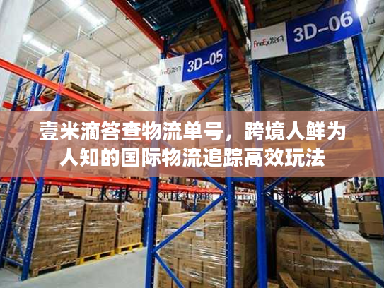 壹米滴答查物流单号，跨境人鲜为人知的国际物流追踪高效玩法