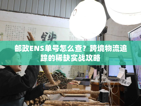 邮政ENS单号怎么查？跨境物流追踪的稀缺实战攻略