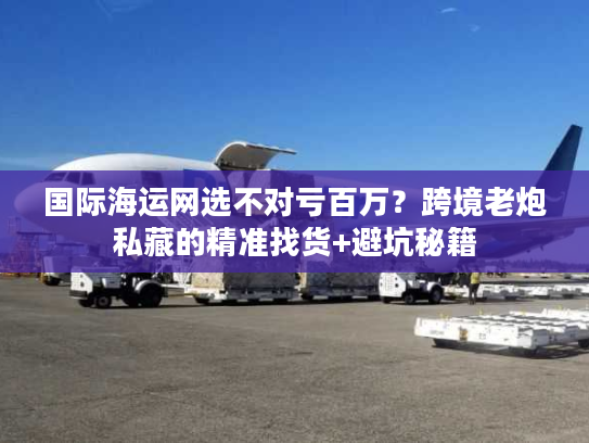 国际海运网选不对亏百万?跨境老炮私藏的精准找货+避坑秘籍 国际海运网选不对亏百万?跨境老炮私藏的精准找货+避坑秘籍