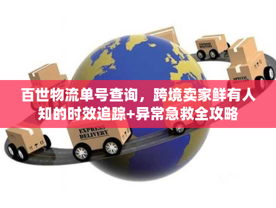 百世物流单号查询，跨境卖家鲜有人知的时效追踪+异常急救全攻略