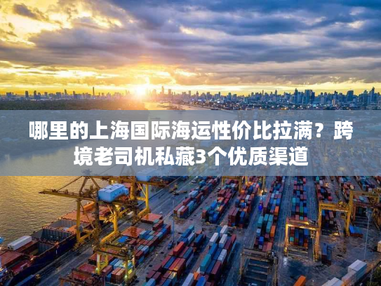 哪里的上海国际海运性价比拉满？跨境老司机私藏3个优质渠道