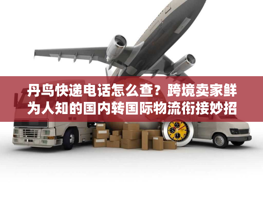 丹鸟快递电话怎么查？跨境卖家鲜为人知的国内转国际物流衔接妙招