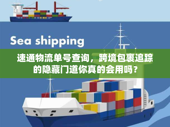 速通物流单号查询，跨境包裹追踪的隐藏门道你真的会用吗？