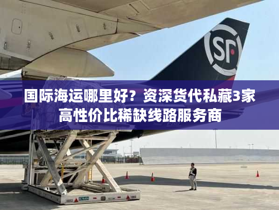 国际海运哪里好？资深货代私藏3家高性价比稀缺线路服务商