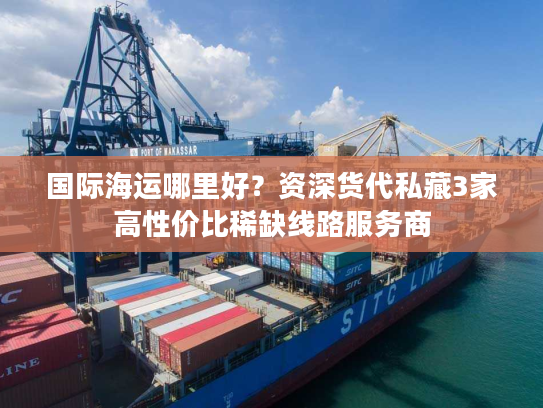 国际海运哪里好？资深货代私藏3家高性价比稀缺线路服务商