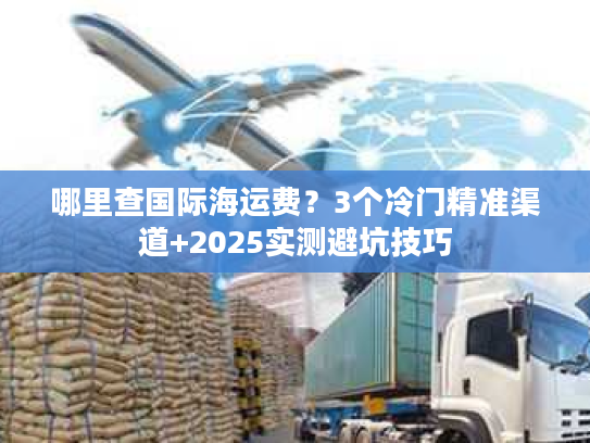 哪里查国际海运费？3个冷门精准渠道+2025实测避坑技巧