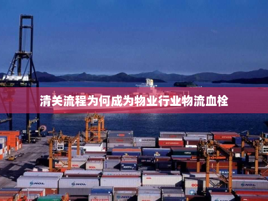 清关流程为何成为物业行业物流血栓 清关流程为何成为物业行业物流血栓