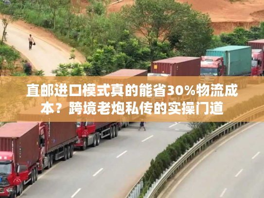 直邮进口模式真的能省30%物流成本？跨境老炮私传的实操门道