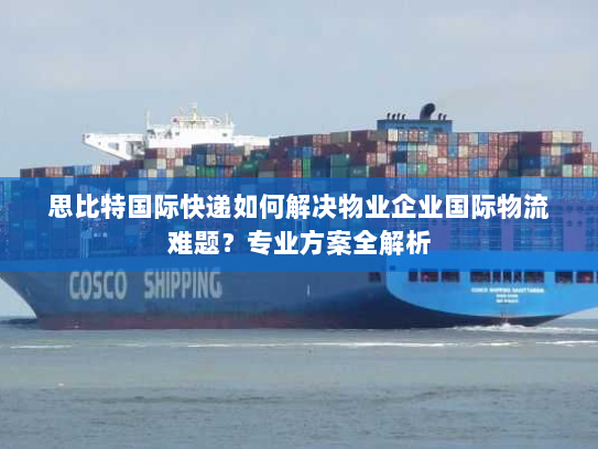 思比特国际快递如何解决物业企业国际物流难题？专业方案全解析
