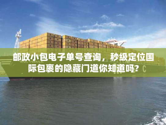 邮政小包电子单号查询，秒级定位国际包裹的隐藏门道你知道吗？