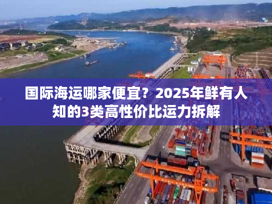 国际海运哪家便宜？2025年鲜有人知的3类高性价比运力拆解