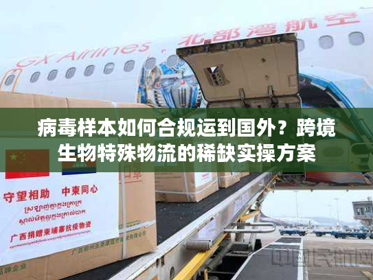 病毒样本如何合规运到国外？跨境生物特殊物流的稀缺实操方案