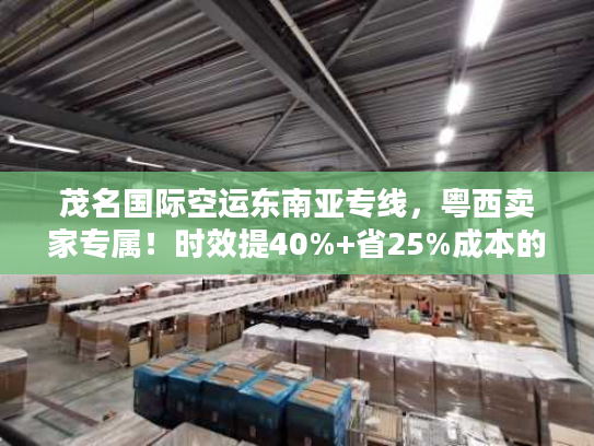 茂名国际空运东南亚专线，粤西卖家专属！时效提40%+省25%成本的稀缺路径？