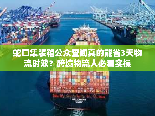 蛇口集装箱公众查询真的能省3天物流时效？跨境物流人必看实操