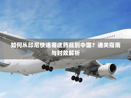 如何从印尼快速寄送药品到中国?通关指南与时效解析 如何从印尼快速寄送药品到中国?通关指南与时效解析