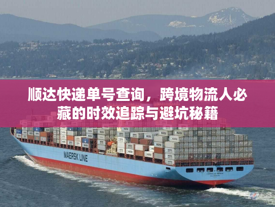 顺达快递单号查询,跨境物流人必藏的时效追踪与避坑秘籍 顺达快递单号查询,跨境物流人必藏的时效追踪与避坑秘籍