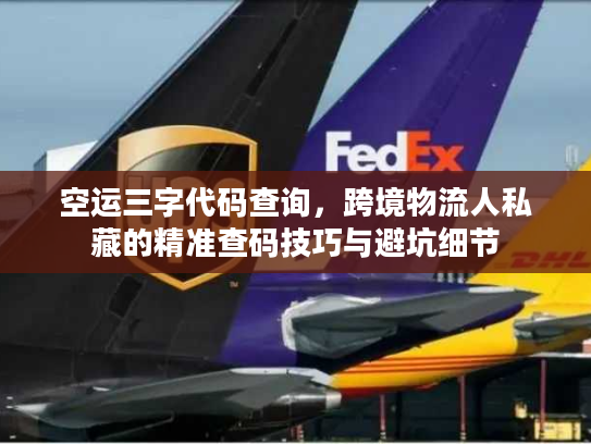 空运三字代码查询,跨境物流人私藏的精准查码技巧与避坑细节 空运三字代码查询,跨境物流人私藏的精准查码技巧与避坑细节